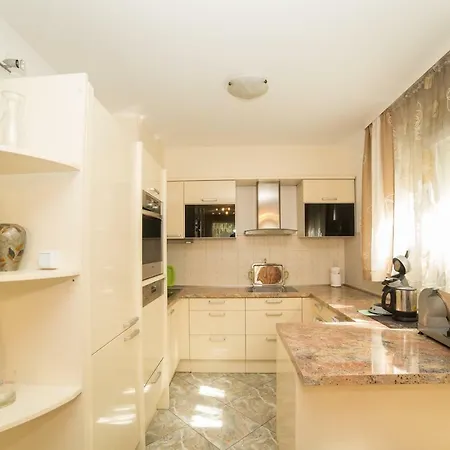 Apartment Curic *