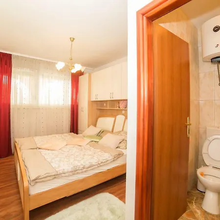 Apartment Curic *